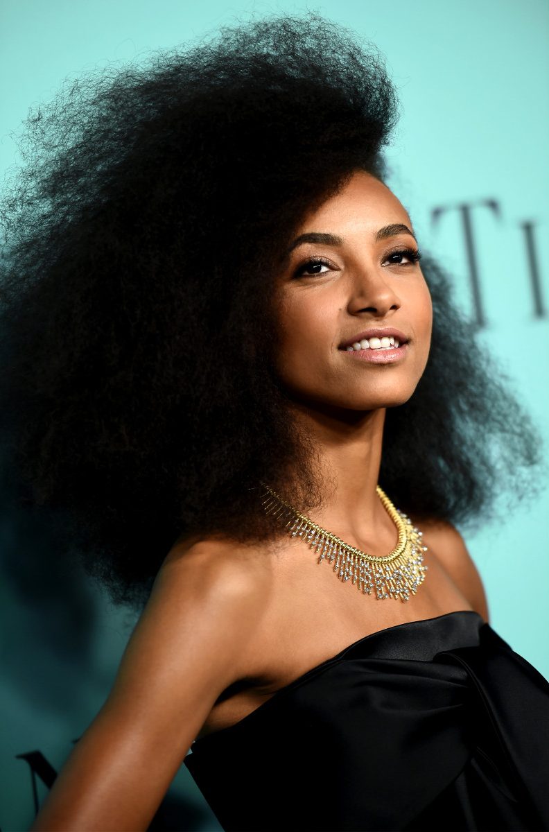 Esperanza-Spalding Tiffany & Co Blue Book Gala 2016 Lux Afrique