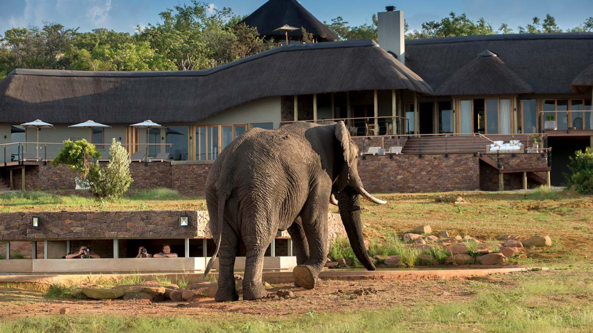 Welgevonden Game Reserve is your next family vacation
