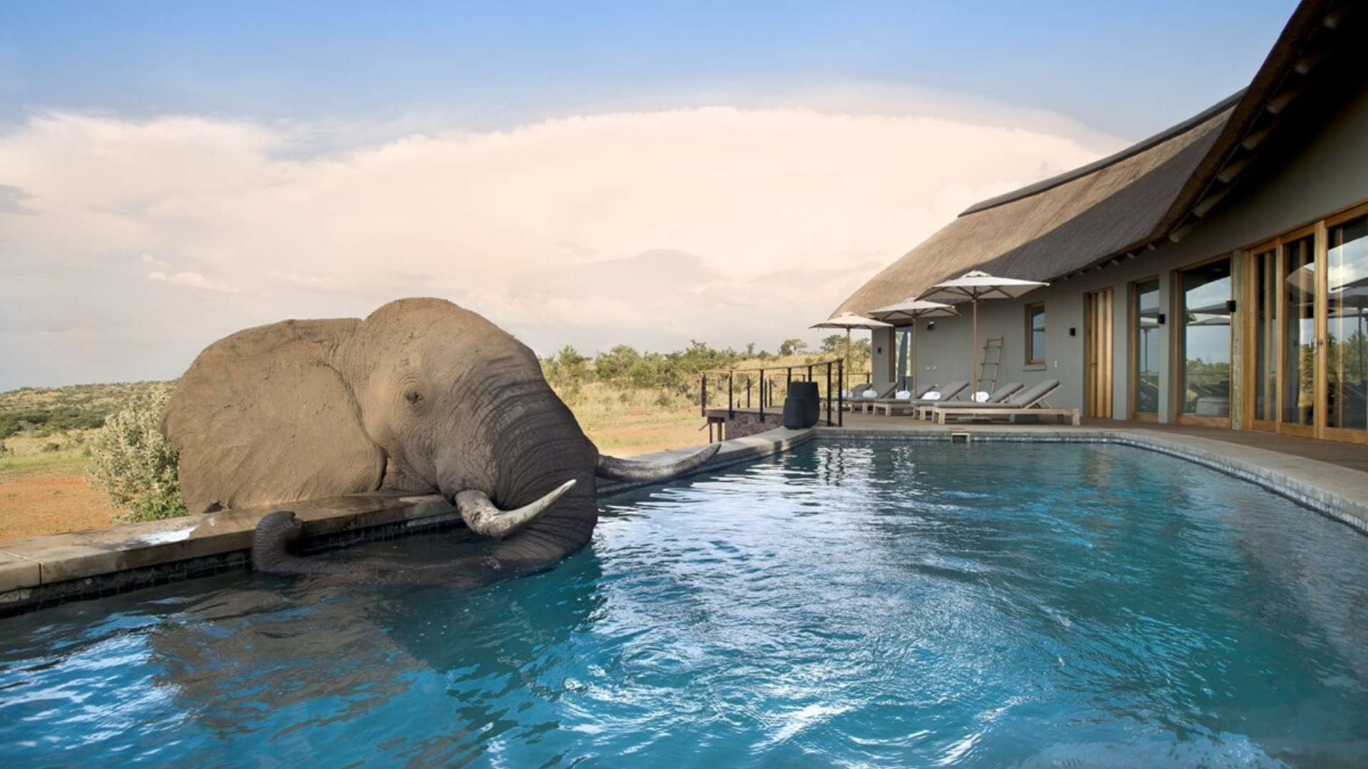Welgevonden Game Reserve is your next family vacation