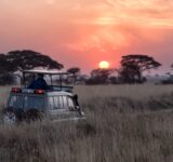 Africa's top solo travel destinations