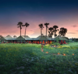 Jack's Camp is the place to be in Botswana